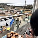 매오로시