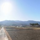 강릉홍제 공인중개사사무소 이미지