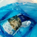 석화목장 | 통영 생굴 목장 통영굴택배 굴전 해먹은 솔직 후기