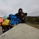 여행하는 나무 이미지