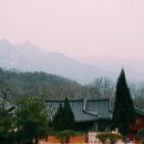 용인문화유적전시관 이미지