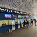 플레이킹 원마운트점 | 일산 원마운트 워터파크 후기 (주차, 구명조끼, 파도풀, 어트랙션 등)