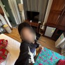고서약국 | 치앙마이 혼여 올드타운 숙소 Pran At Kumuang Boutique House 후기 (빌라스위트룸)