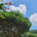 옥룡계곡입구 이미지