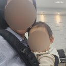 충주성모안과의원 | 충주 안과 | 충주 성모안과의원 눈알러지 모유수유 안약