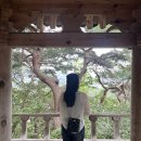 탄금대 | 충주 가볼만한곳 탄금대 다녀온 후기