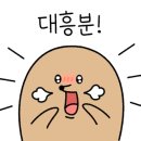 제주돈저팔계