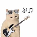 NF003 | 5월 물욕 리스트 ☆̶ ִׂ ٭ ( feat. 무신사 할인쿠폰 / 여름 코디 추천, 나일론, 져지, 스포티, 발레코어...