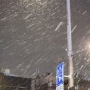 종로-연건-종로-연-388 | 2월 3주차 결산