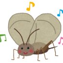 해운대유치원 이미지