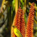 게으르게 이미지