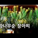 엄나무순(개두릅)장아찌 황금비율 (짜지않고 건강한 밥도둑)#25 이미지