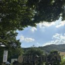 인천 승마장 | 인천 gr승마장 평보 연습! 서울 근교 가성비 승마장 추천:)