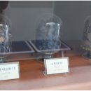 대조한의원 이미지