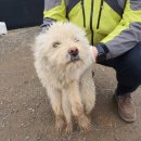 화원면사무소 이미지