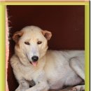 모자축산 이미지