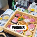 청월참치