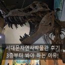 광석길 | 서대문자연사박물관 주말 실내 체험 후기, 3층부터 봐야 하는 이유!(주차, 식사, 기념품, 꿀팁)