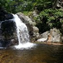 경관농장 이미지