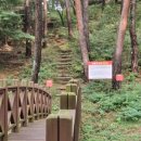 만수산자연휴양림 | 부여 만수산 자연 휴양림 다녀온 후기