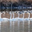 평화로운가족 이미지