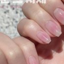 리윤데이