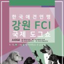 상지인터내셔널 파이낸셜뉴스