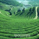 남도힐링투어 이미지