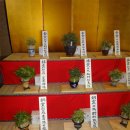 제65회 일본부귀란회 미술품평전국대회(시고쿠 마루가메) 주요 작품들 이미지