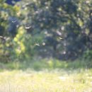 연민농장 이미지