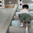 도인로 네이버블로그