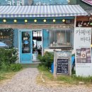 에바다애견 이미지