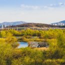 국민건강보험공단 달성지사 이미지