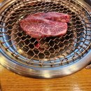 셰이크로그 이미지