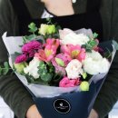 라떼플로라 이미지