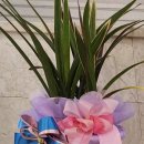 새론치과의원 이미지