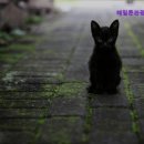 해밀톤관광호텔 이미지