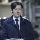 비밀의숲 이미지