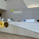천지중기 | [21주] 중기정밀초음파+입체초음파 후기 (햇빛병원 추천!)