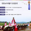 안동놋다리밟기 상설공연 8.19(토)~9.23(토) 매주 토요일 오후6시 안동댐 개목나루공연장 이미지