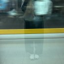 철쭉공원-도장공원 사이 횡단보도(철쭉공원쪽) | 서울 등산코스 봄내음 만끽하기 좋은 계절 ⛰️ ♡ ⁂