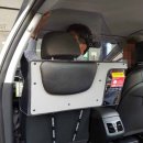 부산지역택시노동조합 이미지