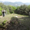 김흥근 선생 묘 이미지