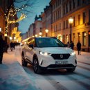 미래모터스 이미지