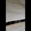 여수농장 이미지