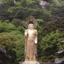 가야산장식당 이미지