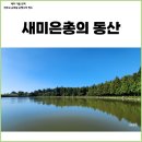 새미언덕 | 제주 가을여행 성이시돌 새미은총의동산 은행나무 명소 위치, 실시간 풍경