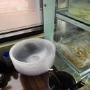 고색동 | [미스터짬뽕 고색점] 고색동마라탕 솔직후기