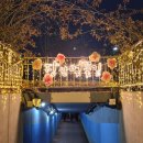 장안벚꽃길 이미지