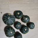 벨리즈펜션 이미지